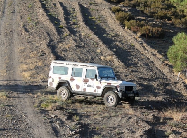  Überquerung der Parken mit einem Geländewagen 
